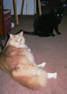 Kabuki & Azrel